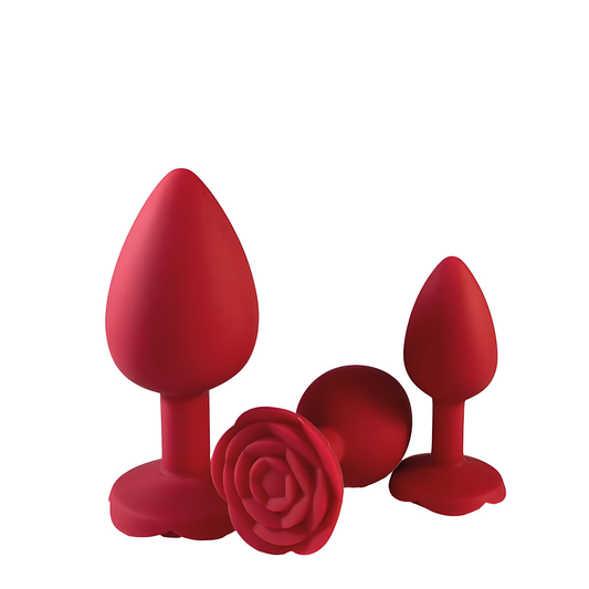 Rosalia Bloom - Kit de plugs anaux en silicone